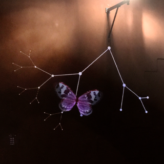 Herbstflattern Teil 2- Video-Installation am Domplatz, Regensburg 2020